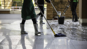 Read more about the article 7 Proven Reasons Your Fort Myers Office Needs Commercial Janitorial Services Before the Holidays